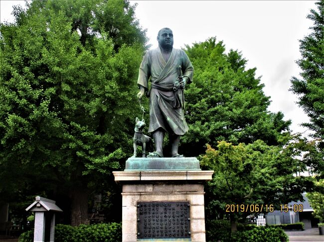 　梅雨の晴れ間に上野恩賜公園を散策して豆腐懐石のランチを楽しみました。桜のシーズンが終わったので人影は少ない。生まれて、育って、青春時代を過ごした今では故郷になりました。そして懐かしく迎えてくれます。街は大きく変わったけれど上野公園も不忍池も変わっていません。昔からの老舗のお店は未だ多く残っています。今日はその一軒でランチタイムを楽しみました。