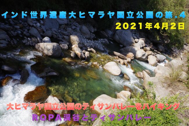 2021年4月末、インド西部から北部でcovid19の新規患者の感染爆発がおこってしまい、たくさんの州がロックダウンに入ってしまいました。<br />インド北部は3月29日がヒンドゥ教のホーリーというお祭りで休み。<br />4月2日がキリスト教のグッドフライデーでお休み。<br />北インドは10連休の会社もありました。これが感染爆発の大きな原因なのではないかなぁ?<br /><br />ちなみにぱっしょんKの赴任地、南インドのチェンナイはホーリーが休みではないので3連休です。<br />この時covid19の感染も落ち着いていたので、3連休を利用して残り2つとなったインドの世界遺産の一つを潰すことにします。<br /><br />今回行くのはヒマーチャルプラディシュー州の大ヒマラヤ国立公園です。<br />いい景色を見ていい空気を吸ってきたいですね。<br />もしヒマラヤにしかいない動物が見れたらいいんですけどね。<br /><br />この旅行記は<br />4月2日の昼食後にまともに寝てないことを忘れて世界自然遺産のティサンバレーをティサン川に沿ってROPA渓谷までハイキングした模様です。<br /><br />*************************<br /><br />今回も連動動画をYou Tubeにupしています。よかったらご覧ください。11分ちょっとの動画です<br />https://youtu.be/qh74WLseIns<br />