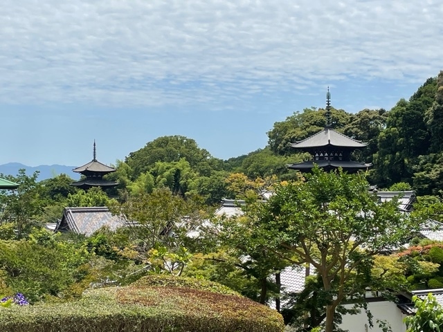 近鉄吉野線當麻寺駅から花の寺當麻寺を巡る旅です。コロナ禍、緊急事態宣言で外出を控えていたため、花の時期を過ぎてしまいました。