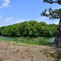 大阪府：三津寺砦、真田丸出城、大坂城、難波宮、高槻城、岡ミサンザイ古墳城等（その3）