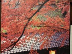 そうだ京都に行こう! - 京都新発見