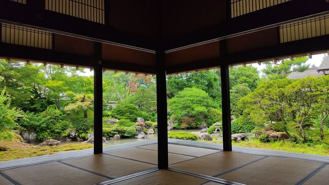 今回は新潟旅行を計画。<br />新潟は何度か訪問したことがあるので、今まで行ったことがない関川村と弥彦神社を計画に入れてみました。