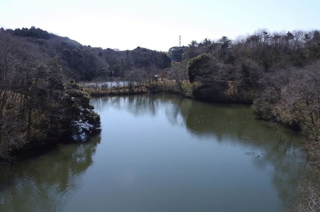 　茨城県水郷県民の森での探鳥会に参加して、バードウォッチングを楽しみました。<br /><br />表紙写真は、水郷県民の森の中にある大膳池の風景です。<br />