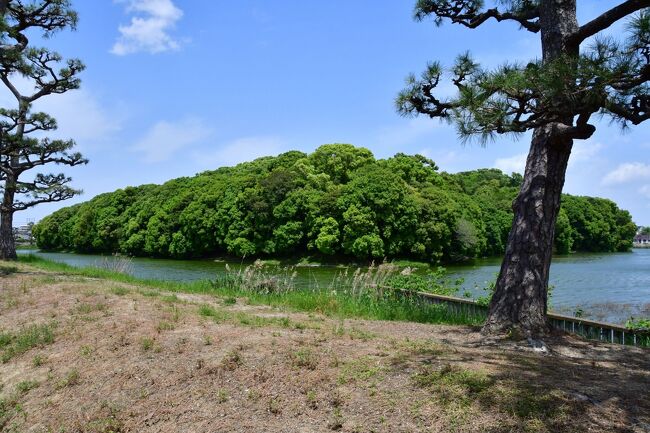 三津寺砦、真田丸出城、大坂城、難波宮、高槻城、岡ミサンザイ古墳城、丹下城、野田城を訪れた。<br /><br /> 3泊4日の旅だったが、その4日の内3日間が悪天候になると予報されてしまった。<br /> 悪天候を覚悟して旅行を決行。<br /> 初日は予報通りの悪天候だったが、2日目は晴天、3日目は午後遅くに雨、4日目は曇り時々雨で、何とか持ち堪えた感じ。<br /><br /> 最近の天気予報は、ワーストケースシナリオを報じておけばとりあえずいいだろ、という姿勢が垣間見える。<br /><br /> 緊急事態宣言と重なってしまい、百貨店や大阪駅地下街は休業していたが、それ以外の店は普通に営業しているのが多かった。(^~^;)