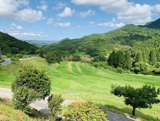 成田から富里香取神社で御朱印いただき、麻綿原高原にて紫陽花鑑賞、鴨川にて昼食、大山千枚田の絶景で癒されて、最後は道の駅保田小学校でタイムトリップ。天気が良くよかったです。