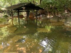 ANAトクたびマイル熊本　フリューゲル久住　黒川温泉旅館山河　湯の宿入船！②