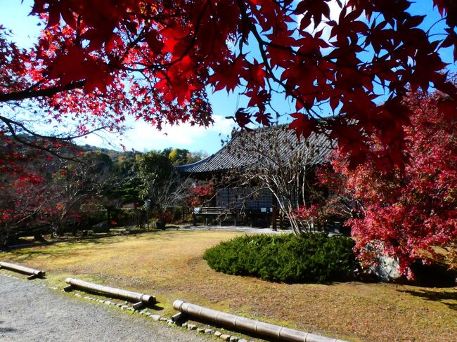 京都 山科 小野 勧修寺境内(Kajuji Temple, Ono, Yamashina, Kyoto, JP)