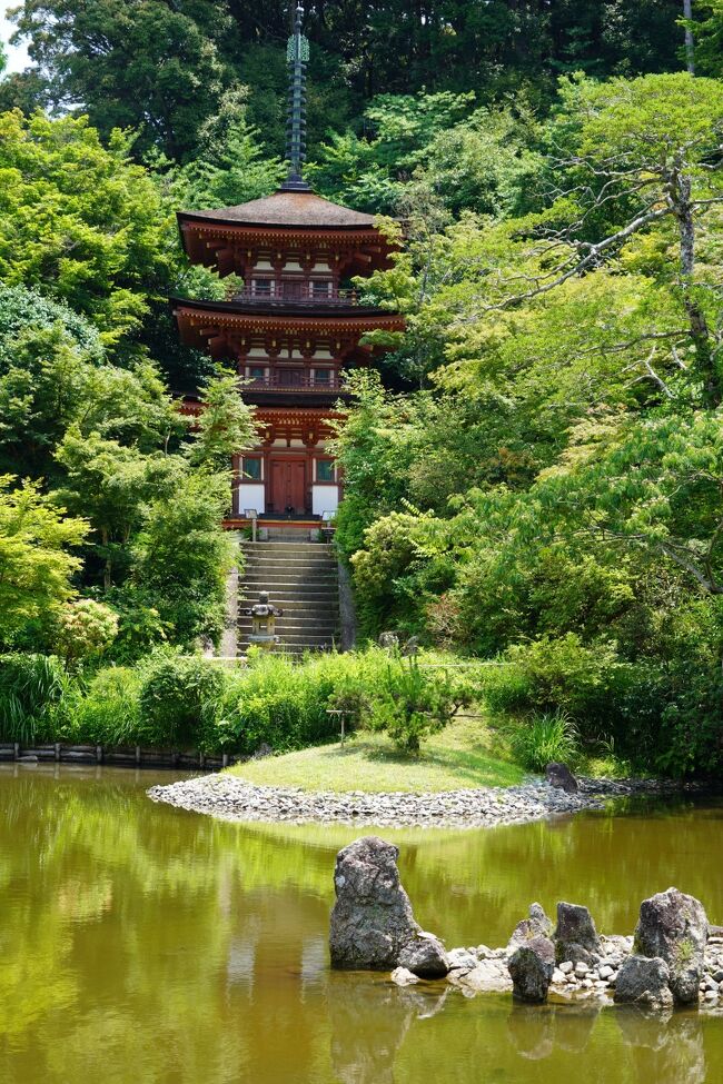 石仏の道を歩いて、浄瑠璃寺辿り着きました。が、本堂は拝観お休みですか。んでも、境内入って良いそうですから、お邪魔いたします。