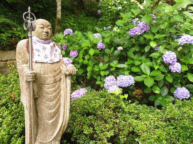 運行開始１周年の特急ひのとりに乗って大和路へ①紫陽花が満開の長谷寺