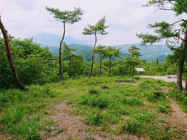 善光寺の裏山「地附山（じづきやま）」トレッキング