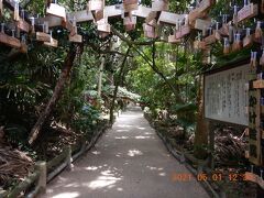 禁断の越県の旅（７）　サンメッセ日南を出て、道の駅「フェニックス」に立ち寄って青島神社へ・・・