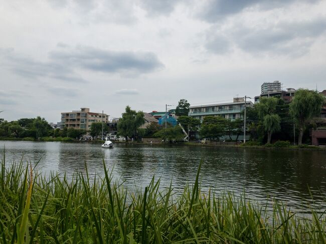 ご覧いただきありがとうございます。<br /><br />今回は、東京都立石神井公園に行ってきました。<br /><br />23区とは思えないほど自然が豊かでとても良い場所です。<br /><br />小さい頃によく遊びにきていた公園なので、懐かしく思いながら歩きました(笑)