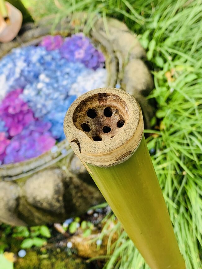 今回の花手水はどうでしょうか 佐野 栃木県 の旅行記 ブログ By ちーちゃんさん フォートラベル