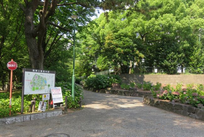 2021初夏、鶴舞公園のあじさい散歩道(1/5)：柏葉アジサイ、黒軸アジサイ、西洋アジサイ