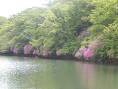 はじめての娘が選んでくれた「東府や」に泊まる　　　　　NO1