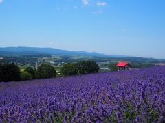 真夏の日曜日、花と山を見に行こう！　in　上富良野町