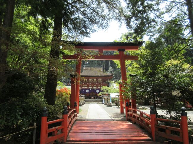 緑陰の熊野参詣（8）龍神温泉・丹生都比売神社