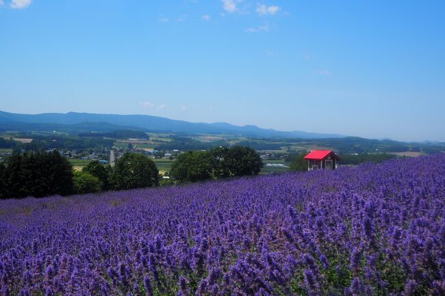 いい天気、家でゴロゴロするのはもったいない。<br />十勝岳連山とラベンダーを求めて、またまた上富良野町へ行ってきました。