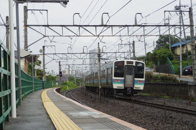 初日に中央本線と初乗車の小海線に乗り小諸へ行き、<br />この旅行記にあたる二日目は初乗車の身延線に乗り帰る事にしました。<br />part1が『八ヶ岳高原線に乗ってみた』、part2が『小海線でこもろへ』、そしてこの旅行記がpart3でラストになります。<br />PS<br />エヴァンゲリオンの舞台は富士山を望む＜箱根＞周辺と聞いてたけど、映画館でシン・エヴァンゲリオン劇場版:||見たら、天竜二俣駅や小野田線と思う場所が出て来て、エヴァンゲリオンって鉄オタ映画だったと知りました。。