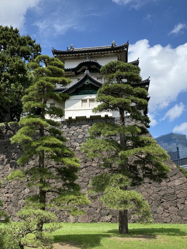 6月8日に皇居一般参観が半年ぶりに再開されたということで<br />宮内庁のHPから一番早く行ける日を予約していくことに<br /><br />一般参観は<br />桔梗橋から入って、富士見櫓‐宮内庁庁舎‐宮殿東庭(長和殿前広場)‐正門鉄橋(二重橋)まで行ったらUターンして長和殿の北車寄せを見て<br />山下通り‐乾通を通って桔梗門に帰るコースです。<br /><br />コースは新年一般参賀で歩くコースと近いですが<br />新年一般参賀は沢山の人出で参賀が終わったらそのまま退出ですので<br />一般参観は説明を受けながらゆっくり見られます。<br /><br />また、宮内庁参観音声のガイドアプリをダウンロードすると<br />参観で説明を受けたところを忘れても後から聞きなおしが出来ます。<br />