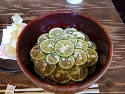 ☆2021.06大阪グルメ☆(すだち蕎麦・ナッコプセ・韓国チキン・インド