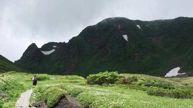6月恒例の北東北の山旅、今年は夜行バスをやめて大人の休日俱楽部パス(4日間有効)にしてみました。<br />東京の娘のアパートに前泊して24日出発。天気イマイチなので、盛岡の原敬記念館を訪ねてみました。原敬の功績は広く知られていますが、なかなかのハンサムボーイだったのですね。<br /><br />25日はおとなしく秋田駒ヶ岳に。平日というのに結構な賑わいです。<br />あちこち花盛りでしたが、馬場の小路(いわゆるムーミン谷)のチングルマがすごかった(^o^) また男岳への急斜面はシラネアオイがきれい💡<br />3年連続の秋田駒ヶ岳ですが、来季も!と思いました。