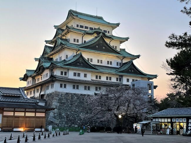 5日目の続き。<br />名古屋城の金鯱(シャチ)は有名。<br />その金鯱が16年ぶりに地上へ降りてきたので見にいきました!<br />名古屋城金鯱展(2021年3月20日―4月2日)<br /><br />金鯱は1945年の空襲で焼失し現在は二代目。<br />間近で見上げる高さ約2.6mもある鯱がお城の屋根に乗っていたとは凄い!<br />同じく空襲で焼失し2018年復元された豪華絢爛の本丸御殿も見てきました(タイトル写真は金鯱のいない天守閣)<br /><br />その後、友人は飛行機で帰るため一緒に中部国際空港へ。<br />ところが大失敗をしてしまい・・(*_*)<br />友人は飛行機に乗れたのでしょうか?<br /><br />なお、金鯱は7月11日(日)まで栄のミツコシマエ ヒロバス「名古屋城金シャチ特別展覧」に移動していて間近で見られます。<br /><br />それでは、名古屋城&電車で大失敗、ご一緒におつきあいください(^^)<br /><br /><br />以下、初めてご覧になる方へ。 <br /><この旅行について><br />1月から続いていた緊急事態宣言。<br />3月に愛知と三重へのひとり旅をしたいと考えていましたが、3月になってもなかなか首都圏1都3県は解除されず・・・。<br />お休みをいただくなら早く申請しなくてはいけないし、22日出発なら解除されているかも?と願いを込めて結構ギリギリのタイミングでホテルを予約。前日21日に解除になったので出発ができました。<br /><br />常にニ重マスクで密を避けて緊張の連続。<br />でも電車の旅は大好きだし、名古屋と松阪以外は初めてなのでワクワク!<br />新しい経験に「やっぱり旅っていいなあ!」と実感しました。<br />久しぶりに充実した電車の旅ができました(^^)<br /><br />*旅行前に書いた、やりたいことリスト*<br />1:フライトオブドリームズでB787初号機を見る<br />2:フォーポイントバイシェラトン中部国際空港に泊まる<br />3:名古屋マリオットアソシアでホテルステイを楽しむ(ここは友人と!)<br />4:名古屋城の金シャチ降臨!地上で見る(ここも友人と!)<br />5:航空ファンミーティングinセントレアで機内食を食べる<br />6:「JR東海&16私鉄 乗り鉄☆たびきっぷ」を活用する<br />7:ミキモト真珠島(鳥羽)&松阪牛(松阪)に行く<br /><br />*旅行中に知り、予定外で出来たこと*<br />8:世界に4機だけの大型特殊貨物機ドリームリフターを見た!<br />9:岡崎城で満開の桜を楽しんだ!<br />10:豊橋で美味しい豆富田楽を食べた!<br /><br /><br />【日程】6泊7日(新幹線&JR&私鉄利用)<br />3.22月 東京→豊橋→神宮前→中部国際空港<br />3.24水 中部国際空港→名古屋<br />3.26金 名古屋→中部国際空港<br />3.27土 中部国際空港→名古屋→鳥羽→松阪→名古屋→中部国際空港<br />3.28日 中部国際空港→金山→岡崎→豊橋→東京<br /><br />【宿泊】<br />・フォーポイントバイシェラトン中部国際空港(2泊)<br />・名古屋マリオットアソシア(2泊)<br />・フォーポイントバイシェラトン中部国際空港(2泊)<br />マリオットボンヴォイのチタンエリートになって初めての宿泊。<br />どちらのホテルもスイートにアップグレードしていただき嬉しかったです!<br /><br />#1初めてのセントレア♪フォーポイントバイシェラトンジュニアスイート宿泊☆移動は東海道新幹線ひかり&名鉄特急!<br />https://4travel.jp/travelogue/11692452<br /><br />#2ジュニアスイート(ルームツアー)&中部国際空港Part1(フライトオブドリームズ・ターミナル1&2・スカイデッキ)☆彡<br />https://4travel.jp/travelogue/11695055<br /><br />#3中部国際空港Part2(3月末営業終了間際フライトパークで映像と音のショー2種類観賞♪)その後、名古屋へ☆彡(動画添付)<br />https://4travel.jp/travelogue/11696277<br /><br />#4☆ホテルステイ☆名古屋マリオットアソシア満喫の3日間!48階ジュニアスイート・コンシェルジュ&エリートラウンジ・パーゴラ!<br />https://4travel.jp/travelogue/11698610<br /><br />#5 名古屋城☆金鯱16年ぶりに地上へ☆間近で見た金鯱・金鯱のいない天守閣・豪華絢爛な本丸御殿・桜! そして空港へ!?<br />https://4travel.jp/travelogue/11699160<br /><br />#6 遂に見た☆ドリームリフター♪中部国際空港Part4&2回目のフォーポイントバイシェラトン(ルームツアー)!<br />https://4travel.jp/travelogue/11699162<br /><br />#7 MIKIMOTO PEARLの魅力♪(JR東海&16私鉄乗り鉄☆たびきっぷ①鳥羽「ミキモト真珠島」編)<br />https://4travel.jp/travelogue/11701239<br /><br />#8 松阪牛が食べたい♪(JR東海&16私鉄乗り鉄☆たびきっぷ②松阪編)<br />https://4travel.jp/travelogue/11701583<br /><br />#9完 岡崎の桜まつり♪豊橋の豆腐田楽♪東海道本線を乗り継ぎ東京へ!(JR東海&16私鉄乗り鉄☆たびきっぷ③岡崎&豊橋編)<br />https://4travel.jp/travelogue/11700499<br /><br />昨年秋冬の旅行記がいくつか未作成ですが、どんどん遅くなってしまうので先にこの愛知・三重の旅をアップしています。<br /><br />******************<br />2021年7月初、自治体でかなり早くワクチン接種券を配布してくれたおかげで1回目の接種が終わりました。翌日重い筋肉痛の症状で腕が上がりませんでしたが2日半ほどで元に戻りました。2回目で副反応が重くなりませんように。全員に早くワクチンが行き渡りますように。引き続き気を緩めずに日々過ごし、一日も早く安心して生活できる日が来ますように祈ります。<br />******************