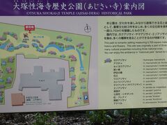 紫陽花　大塚生海寺歴史公園