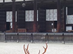 20210628-2 奈良 お昼ごはんの後で、ちょっと興福寺の境内を散歩させていただく