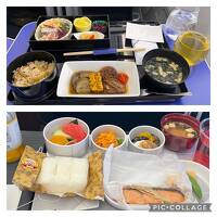 那覇機内食食べ比べ