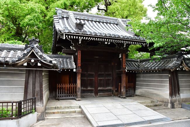 三津寺砦、真田丸出城、大坂城、難波宮、高槻城、岡ミサンザイ古墳城、丹下城、野田城を訪れた。<br /><br /> 3泊4日の旅だったが、その4日の内3日間が悪天候になると予報されてしまった。<br /> 悪天候を覚悟して旅行を決行。<br /> 初日は予報通りの悪天候だったが、2日目は晴天、3日目は午後遅くに雨、4日目は曇り時々雨で、何とか持ち堪えた感じ。<br /><br /> 最近の天気予報は、ワーストケースシナリオを報じておけばとりあえずいいだろ、という姿勢が垣間見える。<br /><br /> 緊急事態宣言と重なってしまい、百貨店や大阪駅地下街は休業していたが、それ以外の店は普通に営業しているのが多かった。(^~^;)