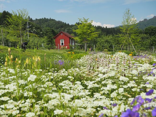 嬬恋キャンプ旅の後編です。