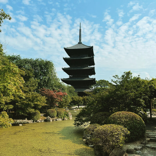 大阪府民が京都へ2泊3日の旅へ行ってきました（1日目）