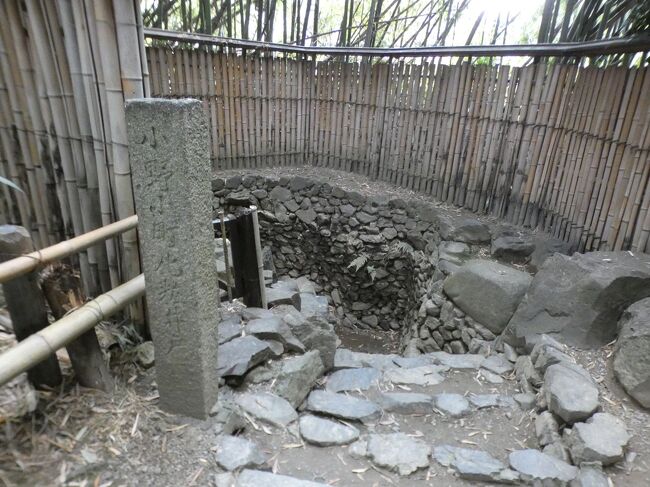 2020年11月30日(月)11時半過ぎ、勧修寺参拝を終えて、今度は地下鉄が通っている外環状線の反対側、東側の少し南にある隨心院へ。地下鉄小野駅の出口からなら、勧修寺は北側の道を西に向かったが、隨心院は南側の道を東に向かう。駅から5分ほど。<br /><br />隨心院は真言宗善通寺派の大本山で、ご本尊は如意輪観世音菩薩で寺紋は九条藤。この辺りは、第5代孝昭天皇の皇子である天足彦国押人命(あめのおしたらしひこのみこと)を祖とする和珥(わに)氏の枝氏で、7世紀前半から平安時代中期にかけて活躍した小野氏の根拠地とされ、随心院は小野小町ゆかりの寺としても知られている。<br /><br />ちなみに小野小町は遣隋使で有名な小野妹子の7代後の子孫なんだ(諸説あり)。昼間は朝廷で官吏を、夜間は冥府において閻魔大王のもとで裁判の補佐をしていたと云う小野篁(たかむら)は小町の祖父と云われる。<br /><br />この寺は、そもそもは仁海(にんがい)僧正が創建した牛皮山曼荼羅寺の塔頭。仁海僧正は平安時代中期の真言宗の僧で、真言宗小野流の祖。弘法大師より8代目の弟子に当たり、宮中の帰依を受け、神泉苑にて雨乞の祈祷を9回行い、そのたびに雨を降らせたとされ、雨僧正の通称があった。雨海僧正、小野僧正とも称される。<br /><br />曼荼羅寺は第66代一条天皇から小野氏邸宅の隣を寺地として下賜され、991年に建立された。曼荼羅寺の名は、僧正が夢で亡き母が牛に生まれ変わっていることを知り、その牛を鳥羽のあたりに尋ね求めて飼養したが、日なくして死に、悲しんでその牛の皮に両界曼荼羅を画き本尊にしたことに因んでいる。また山科の東側、大津市との間の牛尾山は僧正が牛の尾を山上に埋めて菩堤を弔ったことからその名になった。<br /><br />随心院は第5世住持の増俊阿闍梨の時代に曼荼羅寺の塔頭の一つとして建てられた。続く6世顕厳の時に順徳天皇、後堀河天皇、四条天皇の祈願所となり、東寺長者や東大寺別当を務めた7世親厳大僧正が、1229年に後堀河天皇より、門跡の宣旨を賜り、以来隨心院門跡と称され、その以降、一条家、二条家、九条家などの出身者が多く入寺している。<br /><br />以後、多くの伽藍が建造され、七堂伽藍は壮美を誇り、山城国、播磨国、紀伊国などに多くの寺領を有したが、承久の乱・応仁の乱によりほとんど焼失した。応仁の乱後は寺地九条唐橋や相国寺近辺などへたびたび移転した。<br /><br />安土桃山時代末期の1599年、24世増孝の時にこの地に本堂が再興され、以後九条二条両摂家より門跡が入山し、両摂家の由緒をもって寄進再建された。江戸時代中期の門跡であった堯厳は関白の子で、大僧正に至ったが、その後還俗し、九条尚実と名乗って関白、太政大臣の位に至っている。<br /><br />真言宗各派は明治以降、対立と分派・合同を繰り返した。1907年(明治40年)に小野派は独立、随心院は小野派本山となった。その後1931年(昭和6年)には小野派は善通寺派と改称し、1941年(昭和16年)には香川県の善通寺が総本山に昇格した。現在は宗祖空海の生誕地に建つ善通寺が善通寺派で総本山、随心院は同派大本山と位置づけられ、善通寺には管長が住し、随心院には能化が置かれている。<br /><br />小野小町は絶世の美女として知られており、今も美人の代表になっている。宮中で仁明天皇に仕え歌人として知られる彼女もこの地の出身で、宮中を退いて後もここで過ごしたとされる。<br /><br />随心院は深草少将の百夜通いのエピソードの舞台。小町に恋文を送った少将は「百夜訪ねて来てくれたなら、お心に従いましょう」との返事を信じて、毎夜、伏見・墨染の欣浄寺からこの寺まで片道約5㎞の道のりを通ったが、99夜目に大雪に見舞われ、寒さと疲労で力突き、凍死してしまったと云う話。この話はフィクションだが、少将のモデルとなった人物は存在したと云われる。<br /><br /><br />境内に入るが、続く