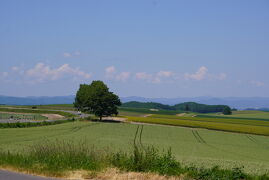 初夏の美瑛は絶景。サイクリングで回りました。