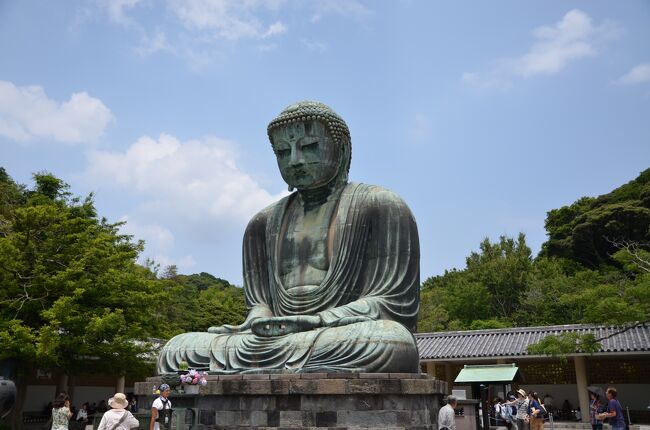 コロナウイルス対策により一年半旅には出ていません。<br />落ち着きそうで中々落ち着かず、ステイホームを続けておりましたが<br />先週ワクチンを接種を機に気分を変え4travel開始以前に訪問しました各所の旅行記を作成投稿致します・・・・・昨年中断していました!<br /><br />今回と次回(門司・下関)は、個人情報保護の監査を担当していた頃、実地監査の為、年一回東京本社と九州支店に出張する機会を利用し訪れた場所です。<br /><br />概要<br /> 自宅より大阪を経由し、新大阪から新幹線で品川まで行き、山手線で浜松町下車徒歩で、東京本社に入り夕刻まで監査作業に従事。<br /> 浜松町よりJRにて横浜に入り中華街の近くに有ります、ホテルJALシティー関内横浜にチェックインし、山下公園近辺の散策および中華街での、夕食を取った後ホテルに帰り就寝。<br /><br /> ホテルにて朝食(予約時に必ず朝食付き選択)後、再度山下公園にて撮影後、JR横須賀線・逗子行にて鎌倉に移動。<br /> 鎌倉駅にて、レンターサイクルを借り散策開始!<br /> 由比ガ浜沿いに海岸線を江ノ島に向かって走りましたが、時間の関連にて途中折り返し、江ノ電を撮影後、長谷寺に向かう。<br /> 長谷寺にて紫陽花を撮影後、鎌倉大仏殿高徳院 にて大仏様を拝み、銭洗弁財天 宇賀福神社まで走ります。<br /> 銭洗弁財天で、お金を洗いと休憩後、最終目的地の鶴岡八幡宮に向かい写真撮影後、鎌倉駅にてレンターサイクルを返却する。<br /> *鶴岡八幡宮に着く頃は、流石に疲労困憊していました!!!<br /> 鎌倉駅近辺にて遅めの昼食後、品川に向かい新幹線にて帰宅しました。<br /> <br />出張を利用しての旅ですので、現地滞在約6時間でしたが、予定していました観光地は巡る事が出来非常に満足出来る旅でした・・・・レンタサイクルのお蔭です!!!!<br /><br />次回は一週間後の九州支店出張に絡めて「門司・下関」観光に行きましたので投稿させて頂きます。<br />今回の旅と同様の半日観光ですので、レンタサイクルを借りて効率よく巡りました。<br /><br />来週2回目のコロナワクチン(ファイザー製)を接種する予定です。<br />早くコロナが落ち着いて安全な旅を開始したいもんですね!!!<br /><br />