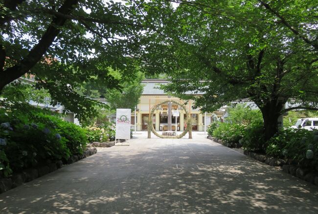 2021初夏、護国神社と名古屋城跡のアジサイ(2/6)：拝殿、茅の輪、一角獣の狛犬、紫陽花
