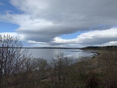 シャチを見にGWの羅臼へ→欠航のため野付半島から根室へ【４日目】