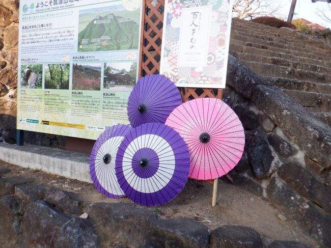 屋久島の縄文杉に行く前に練習で筑波山へ登山に行きました　登りは御幸ヶ原コース、下りは白雲橋コース　何を血迷ったか帰りはつくば駅まで歩きました(;^ω^)　←この後屋久島に行く予定だったので、練習を兼ねて<br /><br />2022年7月に雨引観音＋筑波山に行こうかなって思って、前回の筑波山はどんな感じだっけ？って思って、旅行記を見ようとしたら、下書きのまま忘れてました(;^_^A　今頃ですがUp