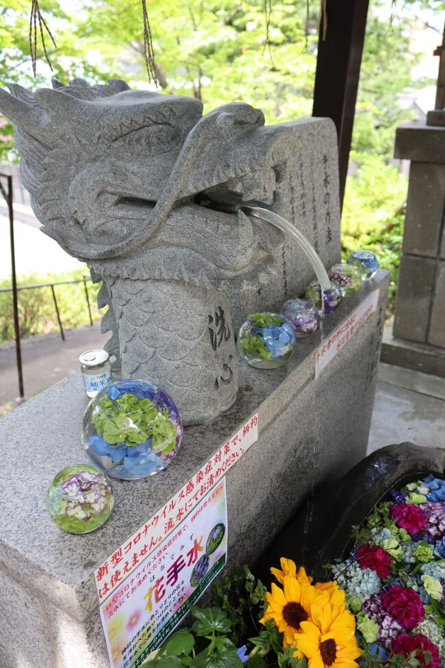 札幌の花手水をしている神社を巡ってきました<br /><br />手稲神社編です