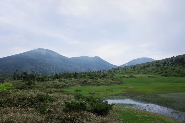 　土日に有休一日付けて、毎年恒例のバースデートリップ、青森県の奥入瀬渓流・十和田湖、八甲田山・酸ヶ湯と八戸を旅してきました。JALのスーパーセールで空港乗り潰しの一環で伊丹～三沢線利用です。元々は今年のバースデートリップは沖縄で考えていたのですが、過去から行ってみたいと思いつつ実は未訪問の奥入瀬渓流に行ってみたいというのがあって、別の週末で八戸・奥入瀬弾丸旅行も計画していたのですが、二泊三日で八戸・奥入瀬に八甲田山も加える旅にしました。沖縄県だけが、訪問時点で緊急事態宣言が解除されていなかったので、沖縄を重苦しい雰囲気の中旅するよりは結果的に良かったと思います。<br /><br />6月26日(土)<br />08:17　越前花堂<br />09:03/09:23　敦賀<br />10:59/11:02　山科<br />11:23　山崎<br />11:32　大山崎<br />11:44/11:46　茨木市<br />11:59/12:03　十三<br />12:13/12:16　蛍池<br />12:22　大阪空港<br />13:20/14:55　JL2163　ITM/MSJ<br />15:10　三沢空港<br />15:26/15:48　三沢<br />16:08　八戸<br /><br />6月27日(日)<br />08:35　八戸　はやぶさ95号<br />09:02/10:25　新青森<br />11:27　ロープウェイ前<br />14:53　酸ヶ湯<br />15:42　奥入瀬渓流温泉<br /><br />6月28日(月)<br />12:03　子ノ口<br />12:31/12:36　焼山<br />13:25/14:50　十和田中央<br />15:19/16:09　三沢駅<br />16:25　三沢空港<br />17:00/18:45　JL2164　MSJ/ITM<br />18:52　大阪空港<br />19:16/19:23　南茨木<br />19:30　高槻市<br />19:47　高槻<br />21:12/21:15　長浜<br />21:52/21:57　敦賀<br />22:52　越前花堂