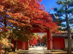 ◆ 赤く染められた真如堂(真正極楽寺) ◆