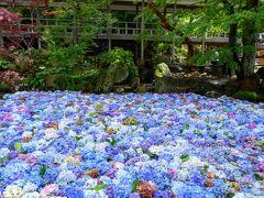 雨引観音あじさい祭とヒロサワ・シティ偵察。