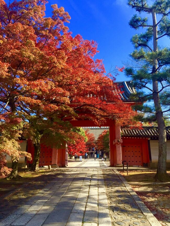 ◆ 赤く染められた真如堂(真正極楽寺) ◆