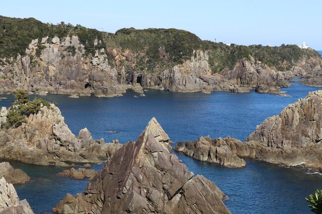 <串本大島の海金剛(写真)>串本から橋を渡り、40数年ぶりに大島を訪れました。当時は架橋(1999年)前だったのでフェリーで行ったことを覚えています。「海金剛」は火成岩から出来たマグマが太平洋の荒波によって削られた素晴らしい景観で、「これぞ和歌山に来た」と感動を受けること間違いありません。水の透明度も高くエメラルドグリーンに見えます。<br /><エルトゥールル号>1890年9月トルコの使節団を載せ帰国中の船が、台風による暴風にあおられ、大島沖の岩礁に衝突しました。その際、大島の島民が総出で救助にあたったことから、日本とトルコの友好が深まったということです。WAKAYAMAで助けられたことはトルコでは学校の教科書にも取り上げられているということです。40数年前にも訪れましたが、こんな立派な石碑があったことは記憶に残っていませんでした。トルコアイスやじゅうたんを売る店もあります。
