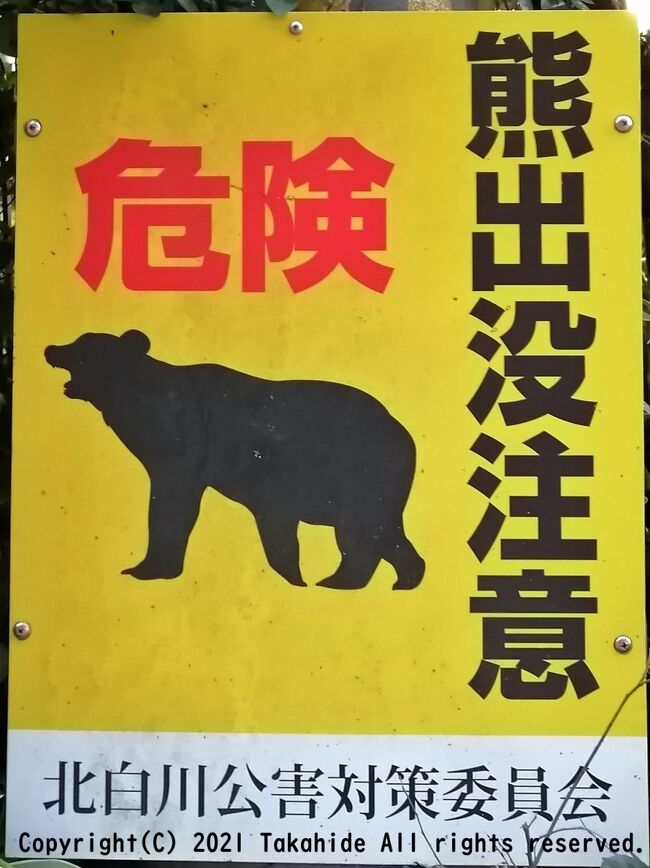 GoToトラベルを利用して京都一周トレイルを歩いてきました。<br />2日目は東山コースの浄土寺橋からケーブル比叡駅と、北山東部コースのケーブル比叡駅から二ノ瀬です。<br /><br />GPSによる旅程:http://takahide.hp2.jp/Kyoto20/Kyoto20_2.html<br />スケジュール等:http://takahide.g2.xrea.com/Kyoto20.html<br /><br /><br />京都一周トレイル:https://www.kyoto-trail.net/trail_home.html<br />京都一周トレイル:https://ja.kyoto.travel/tourism/article/trail/<br />京都一周トレイル:https://kyoto-gakuren.jp/wp/trail/