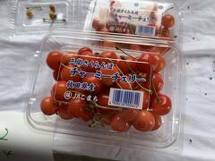 チャーミーチェリー&#127826;を買う一泊二日の旅＊山形市から秋田県湯沢市へ①