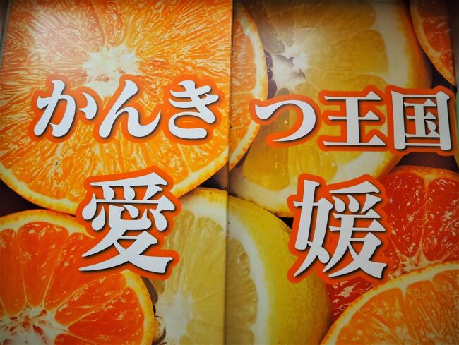 JALのお得なオプションにひかれてダイナミクパッケージで愛媛に行ってきました。<br />当初、愛媛県って何があるの?道後温泉くらいでしかも改修中だし、思っていましたが調べると他にも見所がたくさん。結論、大変気に入り再訪した県に認定ポン!<br />オレンジ色の愛媛県 元気カラーに大興奮♪<br />表紙の写真は「愛媛県庁のEV」の中のラッピングです。<br /><br />松山城エリア、三津浜エリアといつもの事ですが長い旅行記です。<br /><br /><大まかな旅程><br />6/25 JAL433 羽田 9:50 ~ 松山11:20<br />松山城、愛媛県庁、<br />三津、高浜<br /><br />6/26 観光列車 伊予灘ものがたり ラストイヤー乗車<br />大洲観光<br />内子観光<br />道後温泉<br /><br />6/27 道後温泉 人力車<br />萬翠荘<br />観覧車とぼっちゃんミュージアム<br />6/27 JAL440 松山19:05 ~ 羽田20:30 <br /><br />*観光の解説に関しては、HPなどを参照、転記させていただいております。