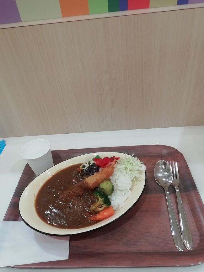 地下鉄に乗り、東札幌駅へ。商業施設のラソラ(旧・イーアス札幌)まで行ってきました。買い物より食事目当てでした。あとは、ぶらりと近所を散策し、少し散歩して帰宅。<br />※ドール出ます