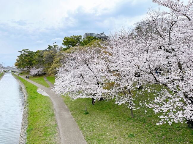 【2021年3月】#9完 岡崎の桜まつり♪豊橋の豆腐田楽♪東海道本線を乗り継ぎ東京へ！（JR東海&16私鉄乗り鉄☆たびきっぷ③岡崎＆豊橋編）